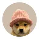 🐶