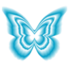 🦋