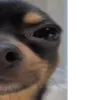 😂