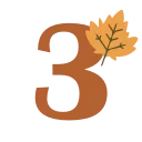 🍁