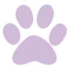 🐱
