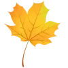 🍂