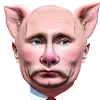 🐽