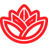 🌹