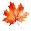 🍂