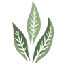 🍃