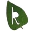 🔤