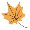 🍂