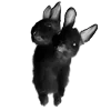 🐇