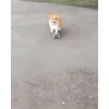 🚶‍♂