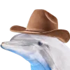 🐬