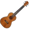 🎸