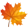 🍂