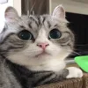 😶