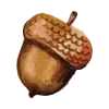 🌰