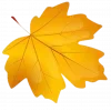 🍂