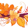 🍁