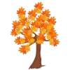 🍂