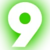 9️⃣