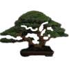 🌳