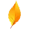 🍂
