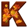 🍂