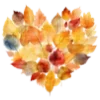 🍂