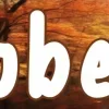 🍂