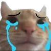 😭