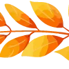 🍁
