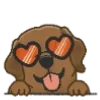 🐶