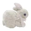 🐇