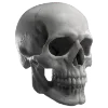🪽