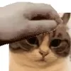 🥵