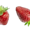 𑁯ᰍ . . 🍓 — Telegram emoji pack