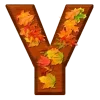 🍂