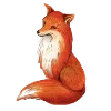 🦊
