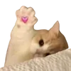 💞