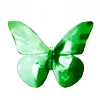 🦋