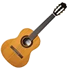 🎸