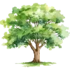 🌳