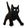 🐈‍⬛