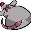 🐀