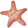 ⭐️