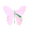 🦋
