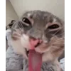 😋