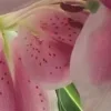🤩
