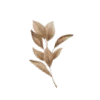 🌿