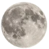 🌓
