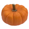 🍊